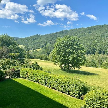 Schoene Aussicht! Langelsheim Buitenkant foto